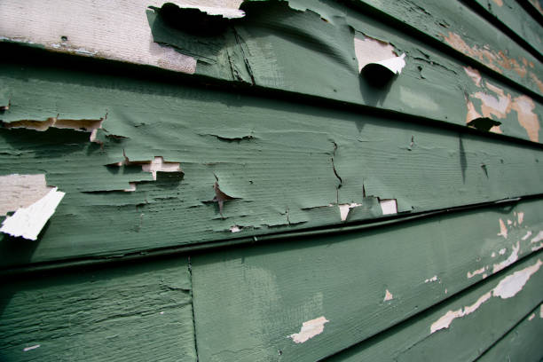 Best Custom Trim and Detailing for Siding  in Oak Island, NC